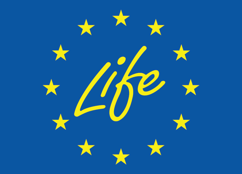 Project life logo